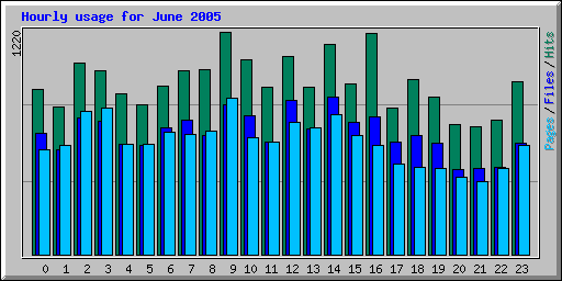 Hourly usage for June 2005