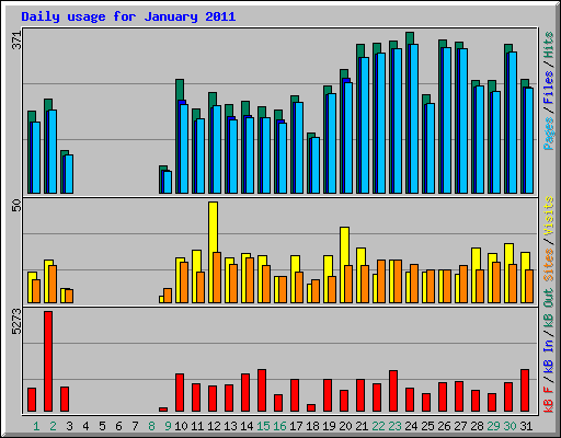 Daily usage for January 2011