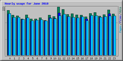 Hourly usage for June 2010