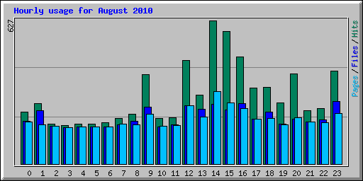 Hourly usage for August 2010