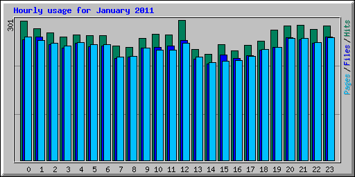 Hourly usage for January 2011